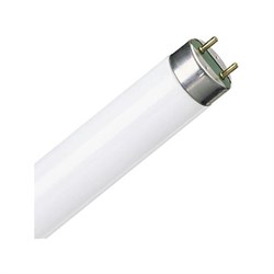 Лампа люминесцентная 18W Т8 G13/765 OSRAM - фото 5007