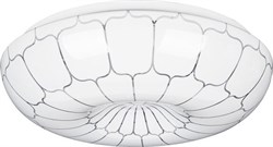 Светильник светодиодный ANTIQUE 12W 6000 К C01LLW12W 6000 К 2255 - фото 5213