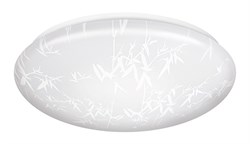 Светильник светодиодный JUNGLE 24W 4000K C07LLS24W 3398 - фото 6912