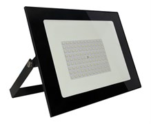 Светодиодный прожектор SBL-FLLIGT -100W-65K 3689